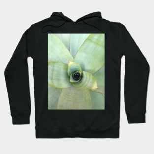 Alcantarea Imperialis Hoodie